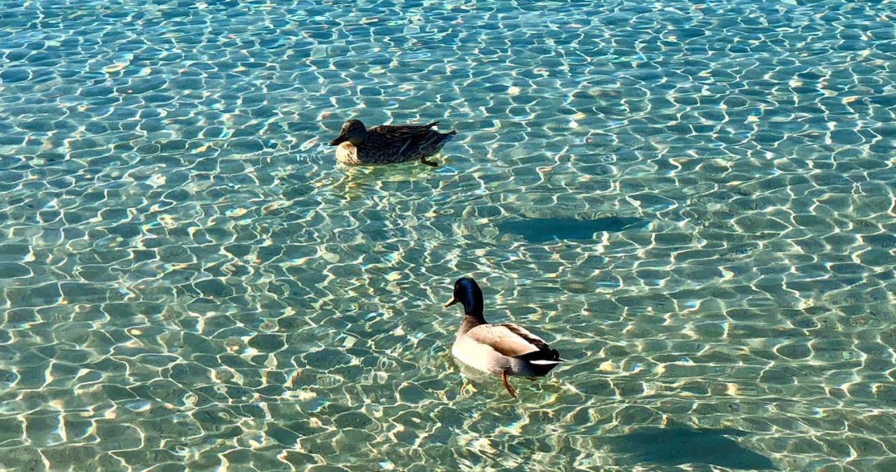 Giorgia - Holiday home Porto Cesareo
